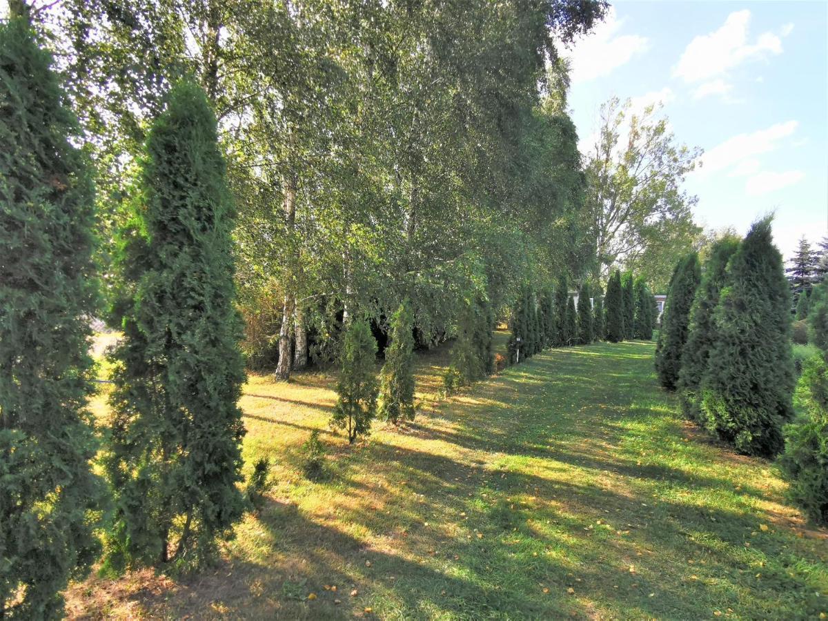 Brzozowe Zacisze Villa Łagów Buitenkant foto